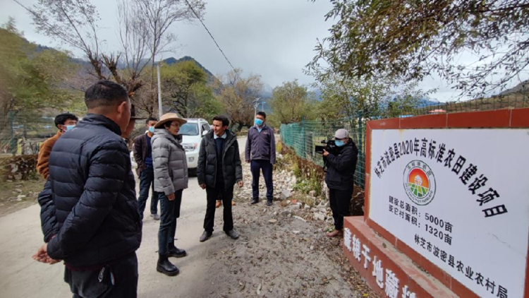 茶香飘万里,这就是向往的生活 1.png