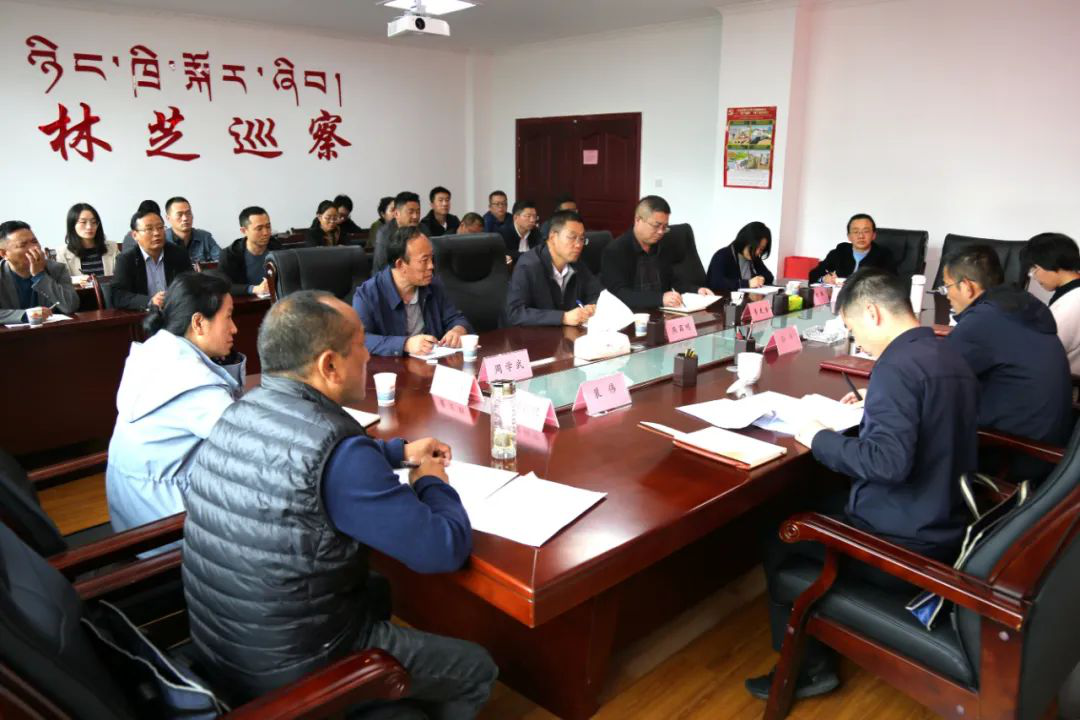林芝市委巡察工作领导小组听取二届市委第一轮巡察情况汇报1.png
